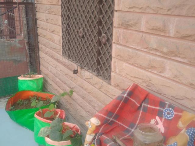 Flat for rent in Jodhpur, Rajasthan