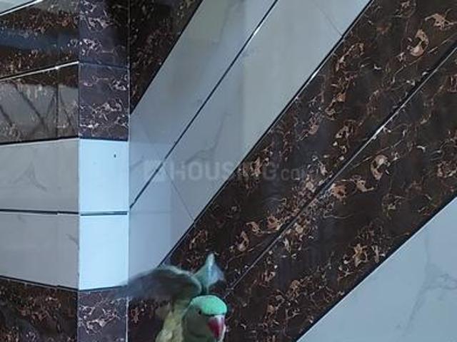 Flat for rent in Moradabad