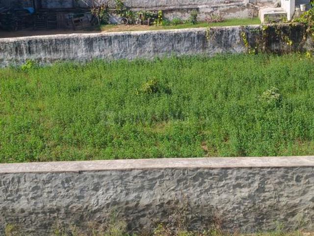 House for rent in Rajasthan