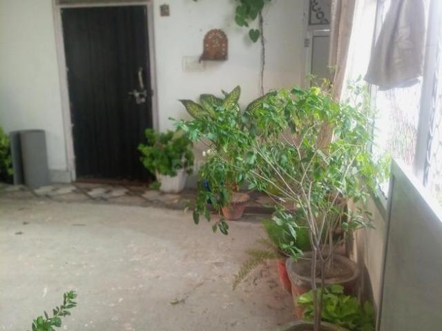 House for rent in Etawah, Arunachal Pradesh