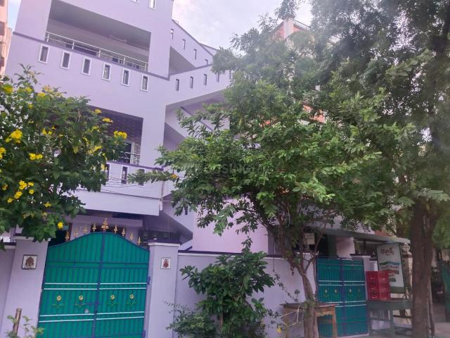 House for rent in Potti, Andhra Pradesh