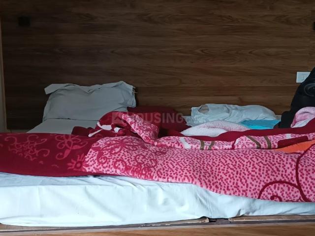 House for rent in Lakhana, Arunachal Pradesh