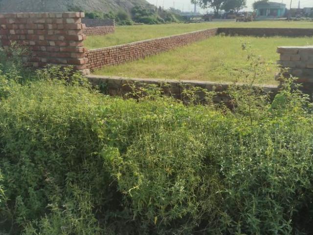 House for rent in Saharsa