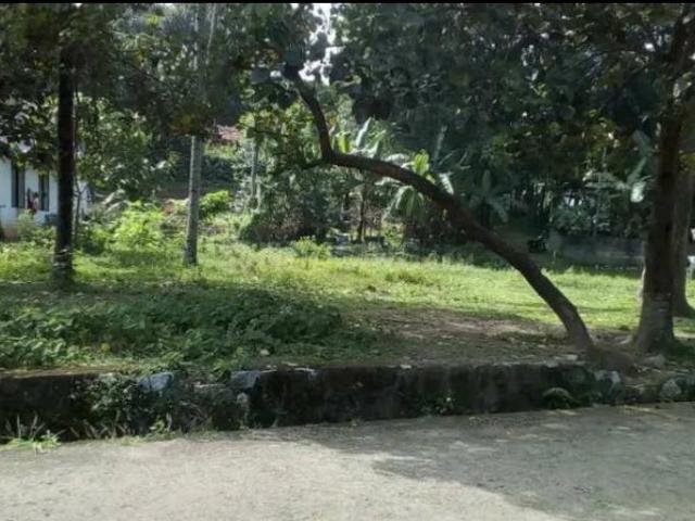 House for rent in Kerala