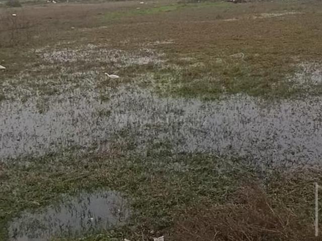 Villa for rent in Rurki, Uttarakhand