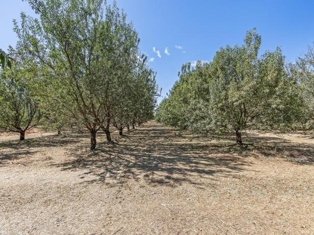 Farm for sale in Delano, Kern County