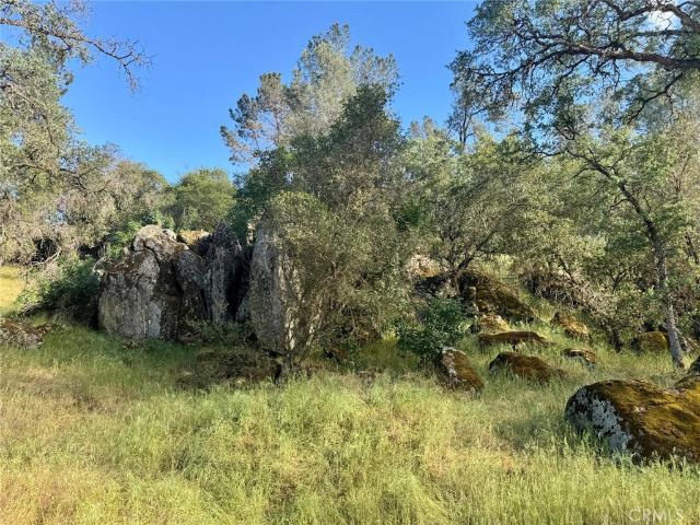 Land for sale in Coarsegold, Madera County
