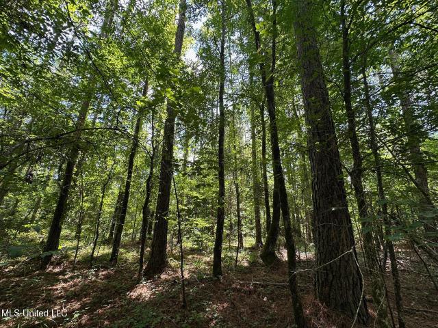 Land for sale in Lexington, Mississippi