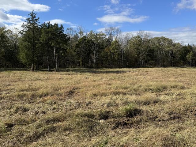 Land for sale in Tennessee