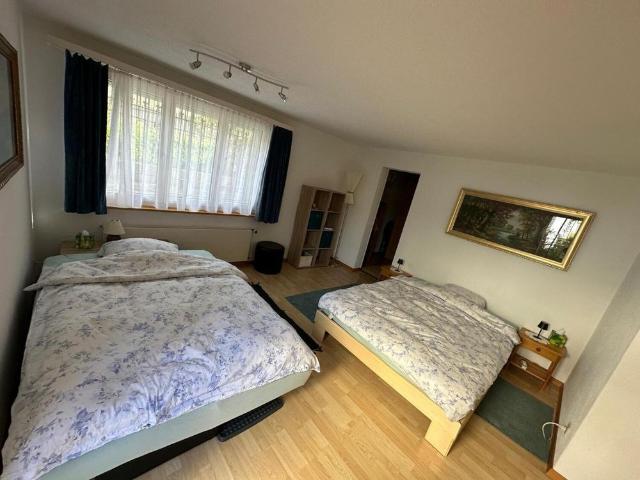 Apartment mieten in Rickenbach, Rickenbach (ZH)