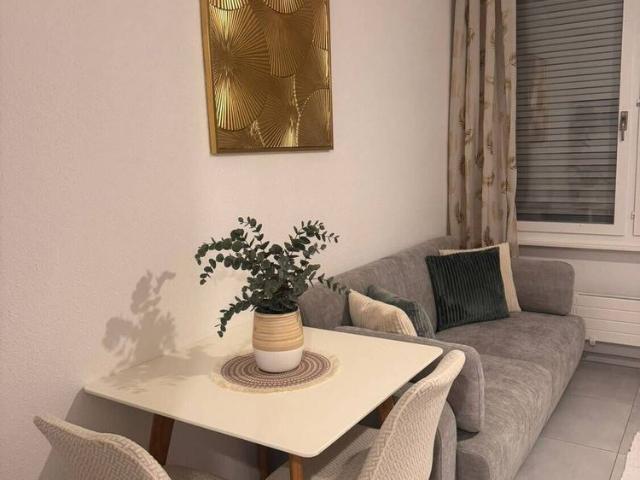 Apartment mieten in Vevey, Waadt