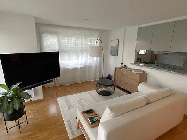 Apartment mieten in Einigen, Zürich