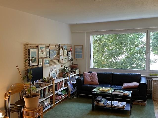 Apartment mieten in Einigen, Zürich