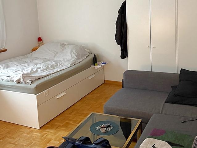 Apartment mieten in Einigen, Zürich