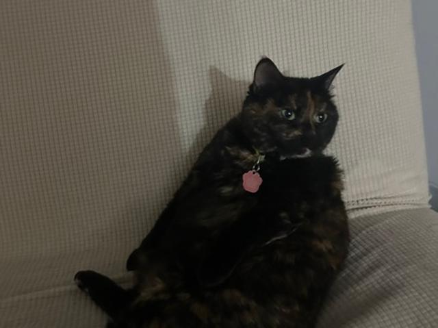 Room for rent in Calgary, Alberta