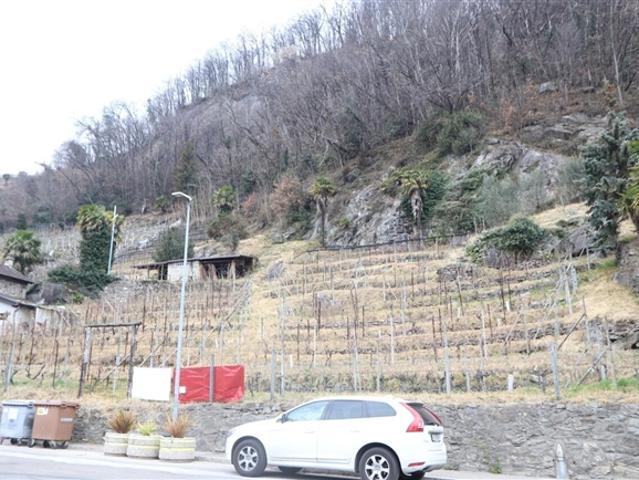 Bauernhaus kaufen in Bellinzona, Tessin