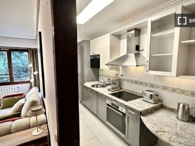 Apartamento en alquiler en Deusto, Bilbao