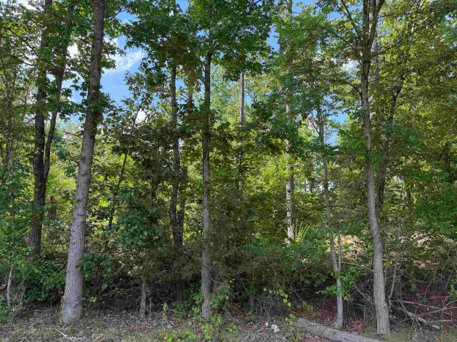 Land for sale in Tennessee