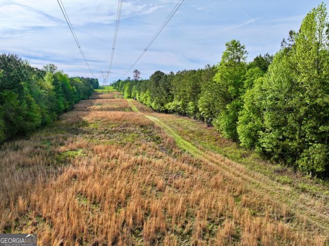 Land for sale in Sparta, Georgia
