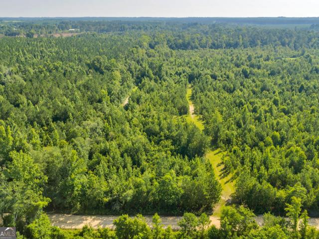 Land for sale in Dodge, Georgia