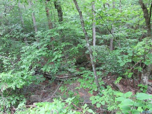 Land for sale in Hollywood, Alabama