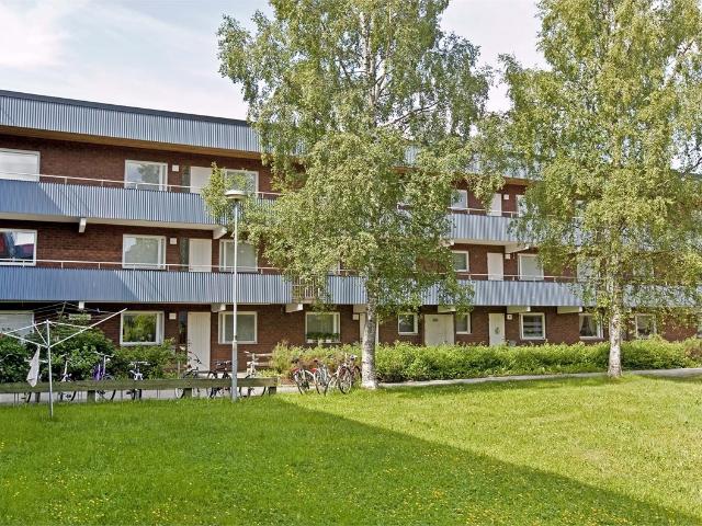 Lägenhet hyra i Umeå, Västerbotten