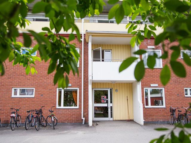 Lägenhet hyra i Piteå, Norrbotten