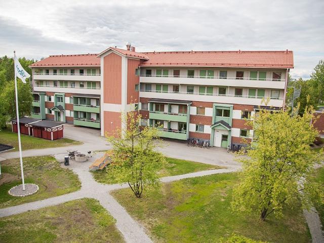 Lägenhet hyra i Piteå, Norrbotten