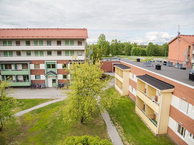 Lägenhet hyra i Piteå, Norrbotten