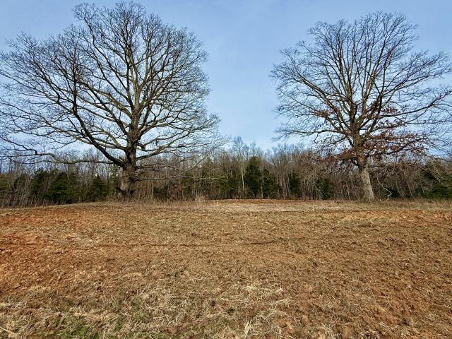 Land for sale in Tennessee