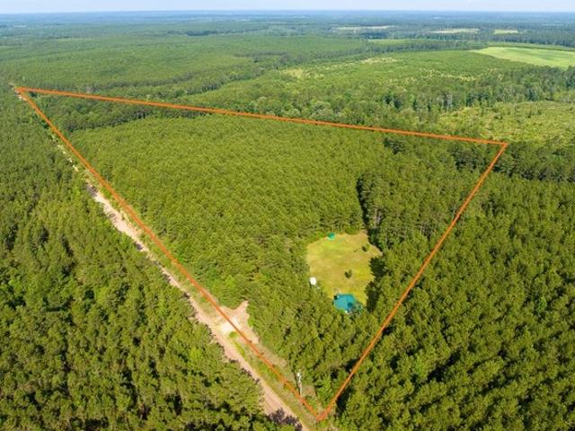 Farm for sale in Groveton, Texas