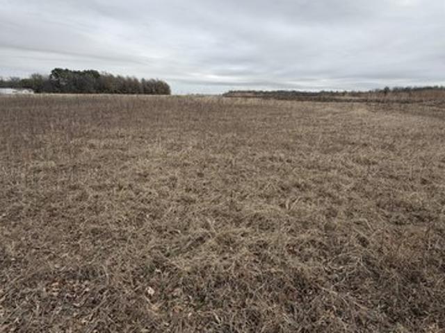 Land for sale in Ark