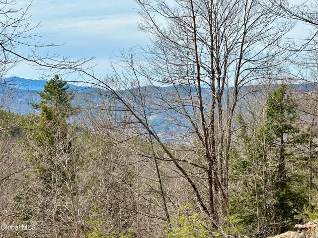 Land for sale in New York