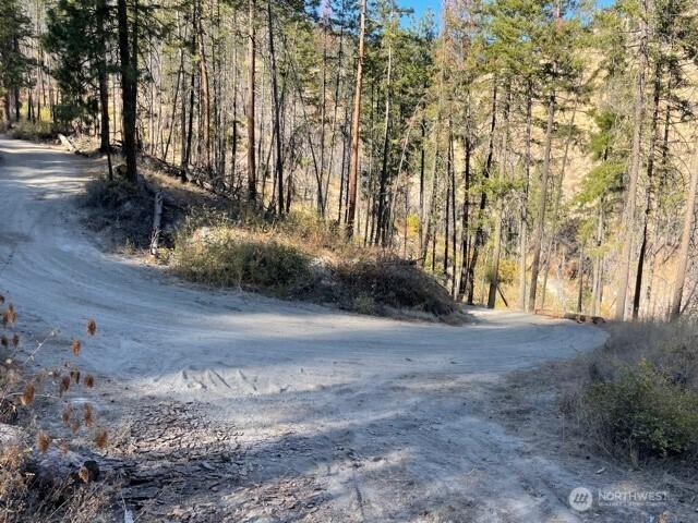 Land for sale in Chelan, Washington