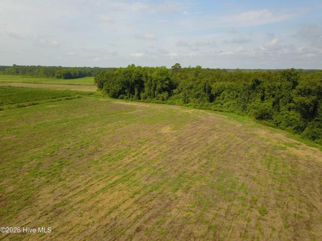 Land for sale in Wallace, North Carolina