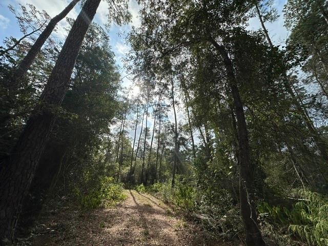 Land for sale in Willis, San Jacinto County