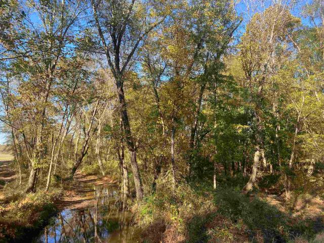 Land for sale in Tennessee