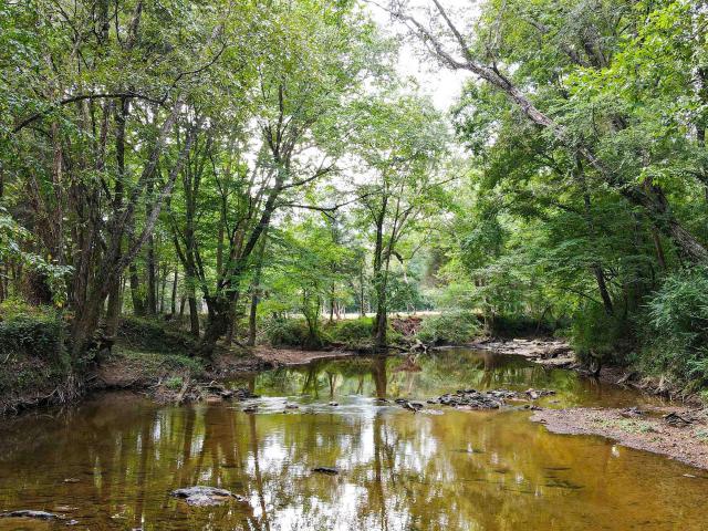 Land for sale in Calera, Alabama