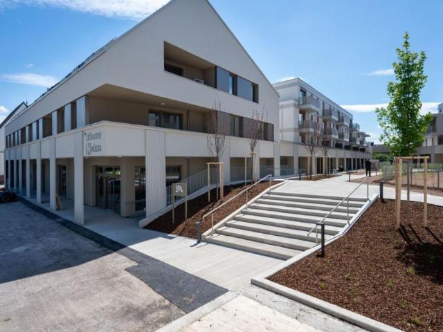 Gewerbe mieten in Judenau-Baumgarten, Niederösterreich