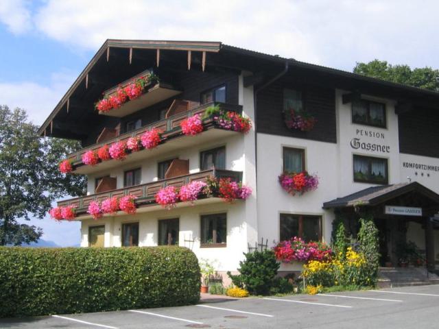 Etagenwohnung mieten in Niedernsill, Ematen