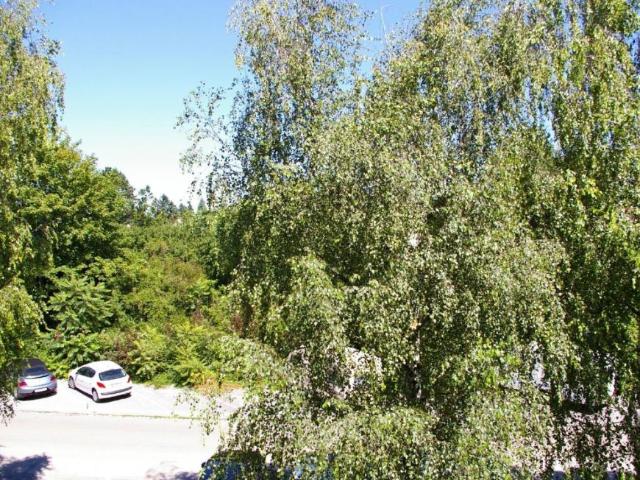 Wohnung mieten in Perchtoldsdorf, Niederösterreich