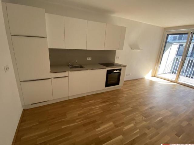 Wohnung mieten in Innere Stadt, Wien