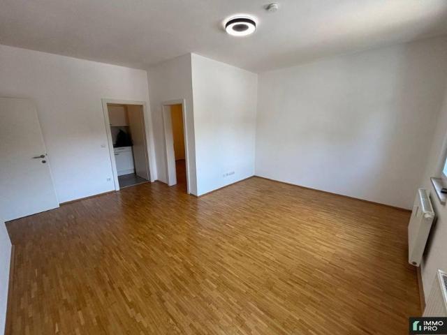 Wohnung mieten in Radsberg/Radiše, Ebenthal
