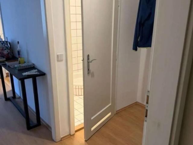 Wohnung mieten in Wiener Neustadt, Niederösterreich