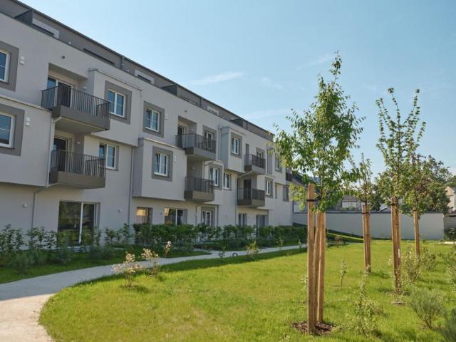 Wohnung mieten in Wels, Oberösterreich