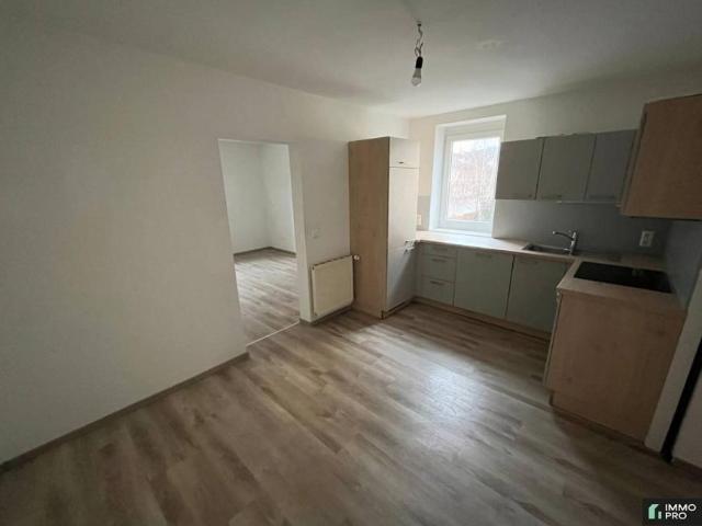 Wohnung mieten in Leoben, Steiermark