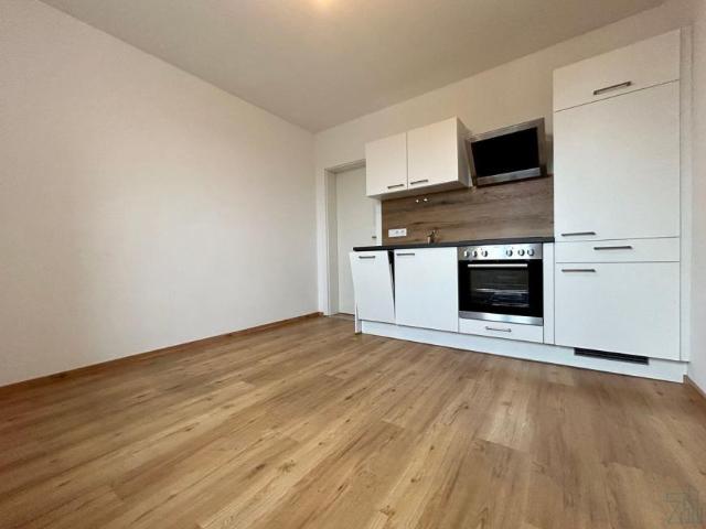 Wohnung mieten in Katastralgemeinde Straßgang, Graz