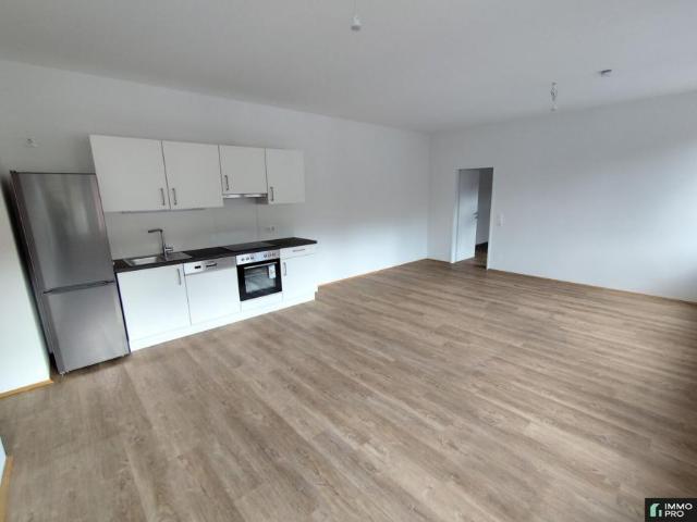 Wohnung mieten in Kaltenbrunn, Leoben
