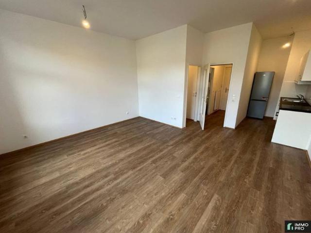 Wohnung mieten in Kaltenbrunn, Leoben