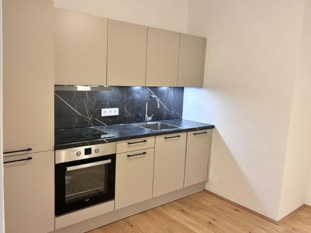 Wohnung mieten in Katastralgemeinde Baierdorf, Graz